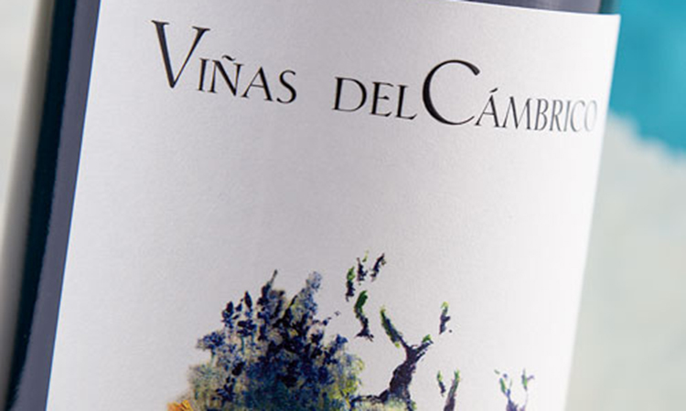 Viñas del Cámbrico Rufete Villanueva
