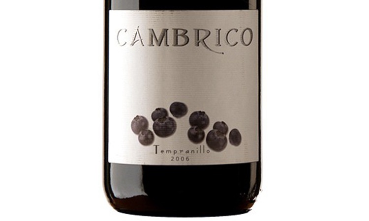 Cámbrico Tempranillo